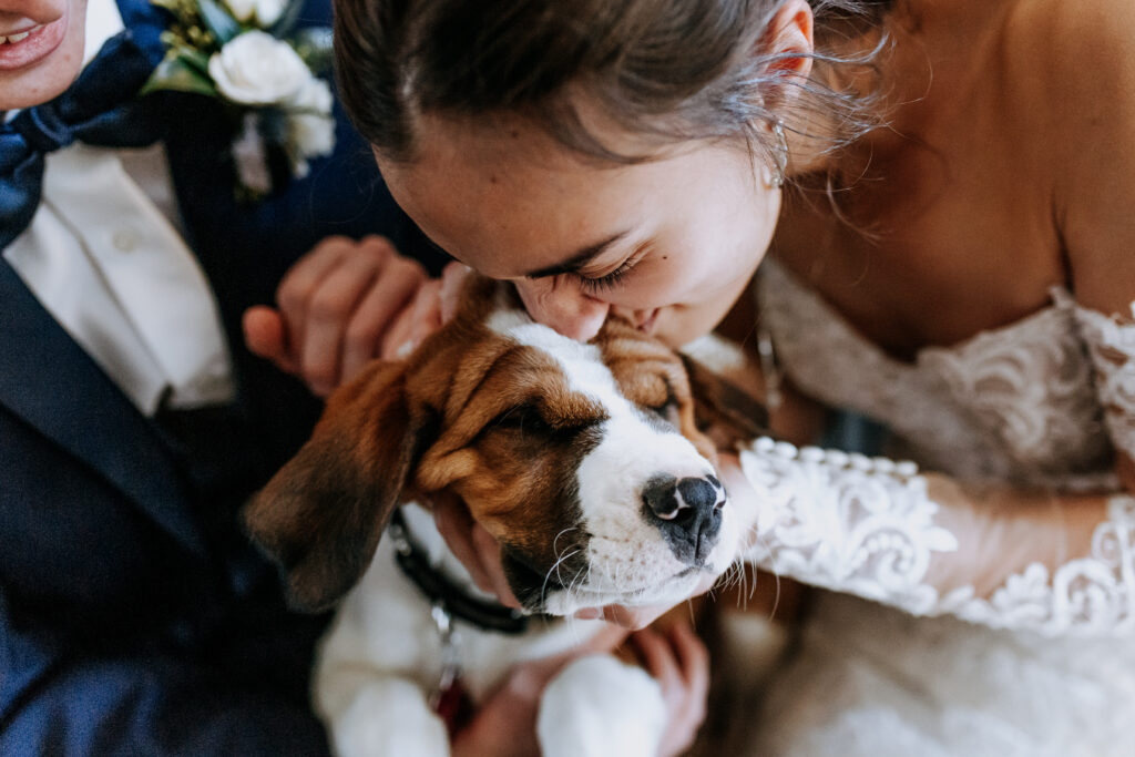 A bride snuggles her puppy pet friendly wedding in Greenville South Carolina
