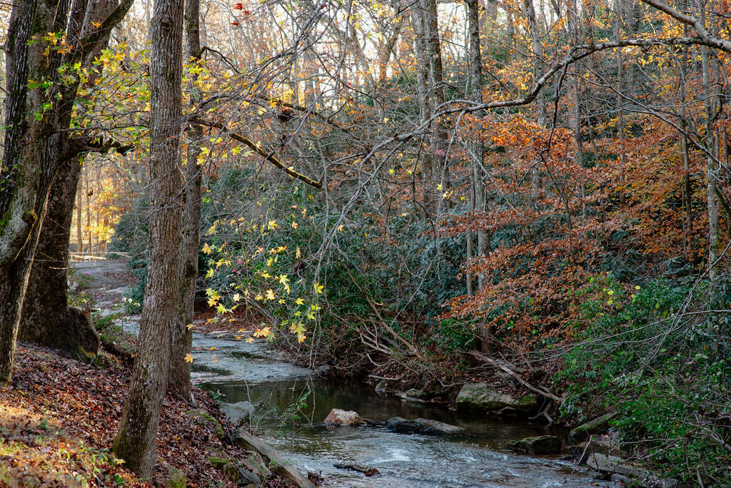Greenville South Carolina Wedding Venue with historic features, river, bridges and natural beauty