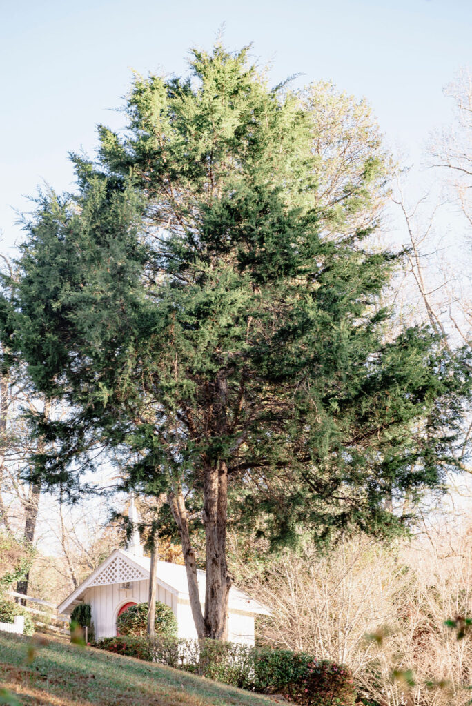 Greenville SC wedding venue