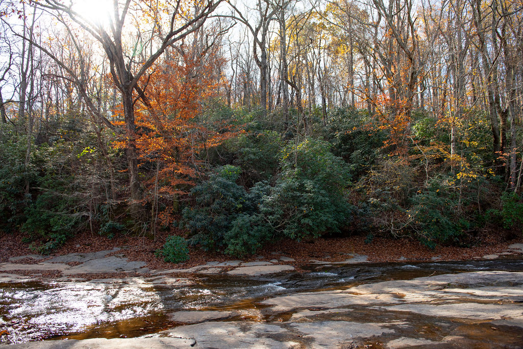 Greenville SC wedding venue