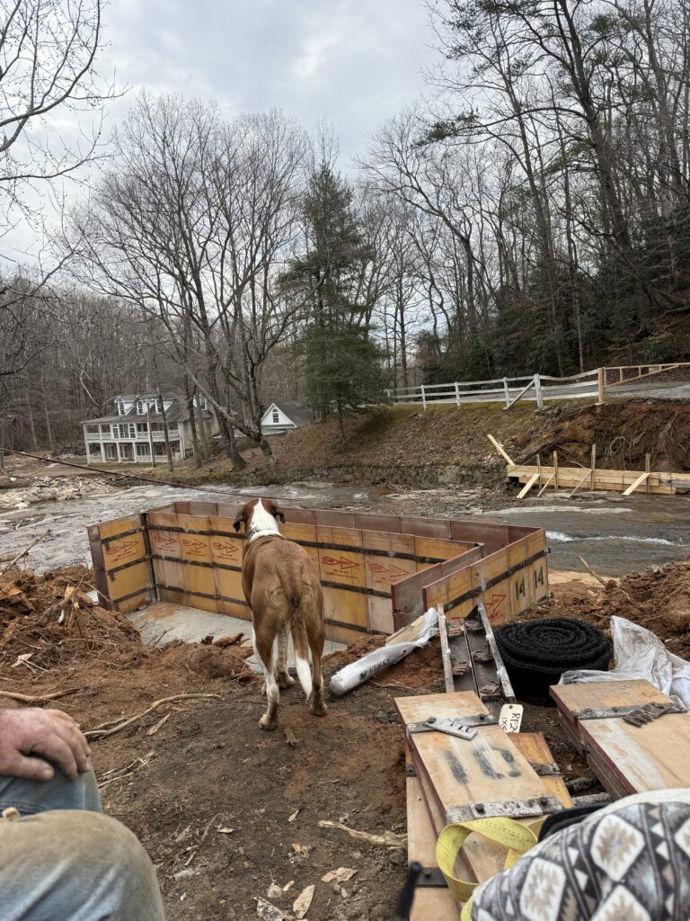 A tri-colored mutt watches as construction workers set the forms for concrete footings across the middle tiger river in Landrum South Carolina