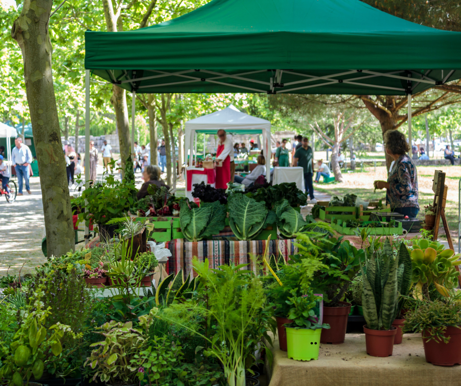 Greenville South Carolina Farmers Market