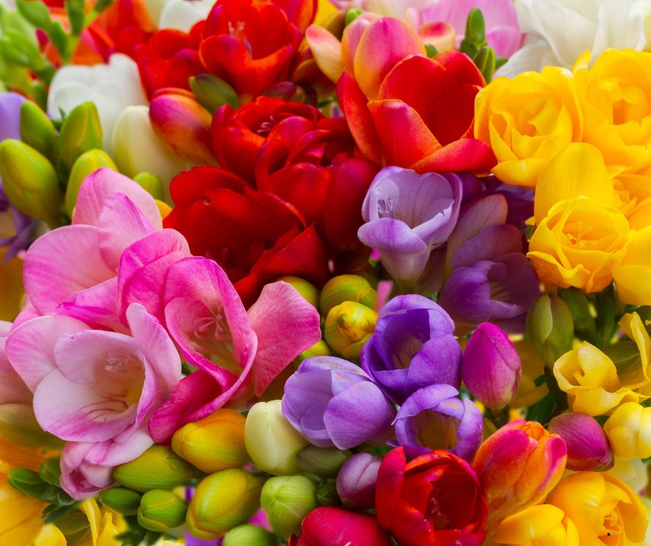 Wedding flowers for a Greenville SC wedding venue