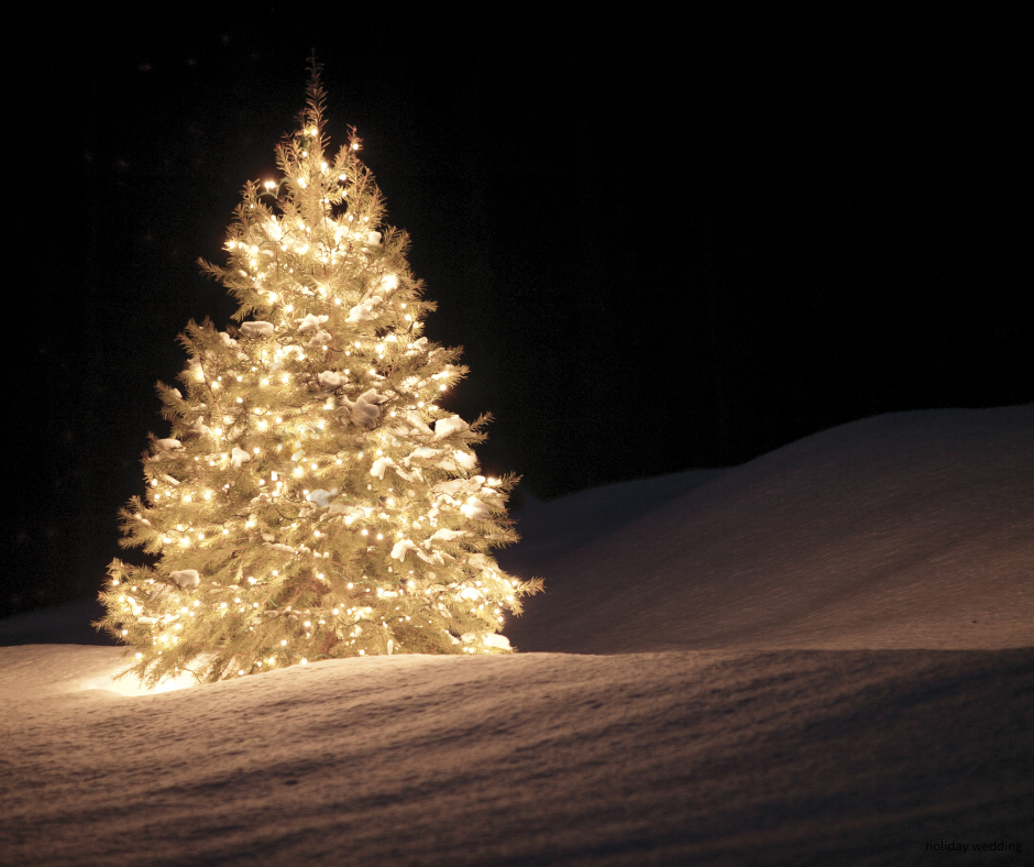 20 Romantic Things to Do During the Holiday Season in Greenville, SC